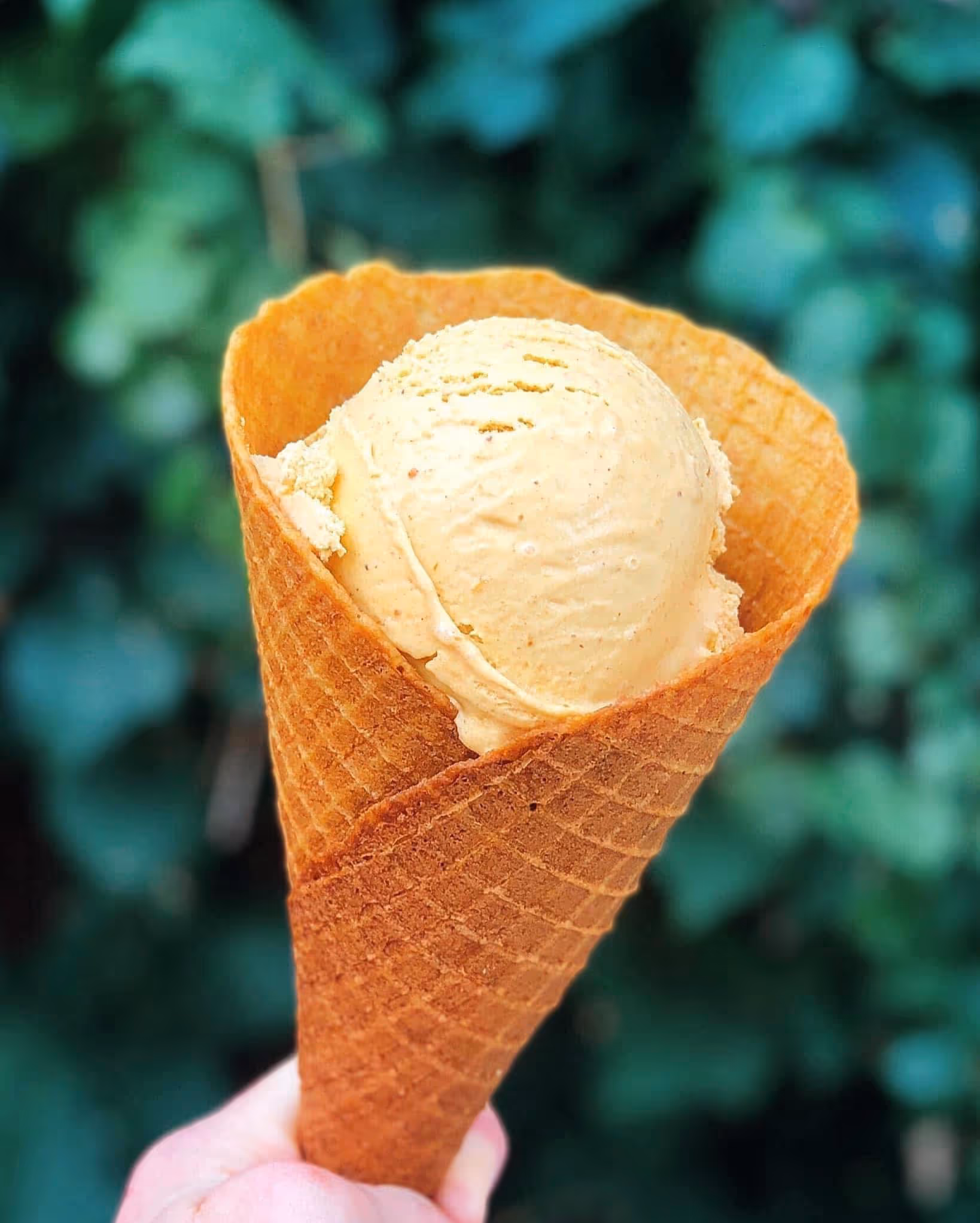 Pumpkin ice cream at Leones' Creamery
